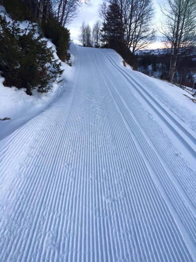 Nordpa Fjellhotell As Haltdalen المظهر الخارجي الصورة